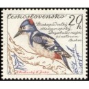 1078 - Strakapoud velký﻿