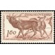 1074 - Jelen evropský