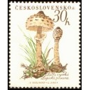 1018 - Bedla vysoká﻿