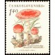 1021 - Muchomůrka červená﻿