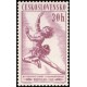 0975-979 (série) - Sport