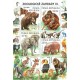0991-994A (aršík) - Ochrana přírody: Zoologické zahrady III.