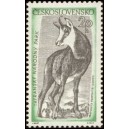 0954 - Kamzík horský
