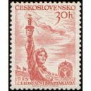 0814 - Sportovkyně s pochodní