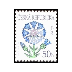 0378 - Krása květů - chrpa
