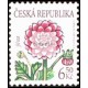 0379 - Krása květů - jiřina