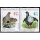 0179-0180 (2blok) - Koroptev + tetřívek