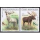 0181-0182 (2blok) - Jelen + los