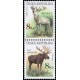 0181-0182 (2blok svisle) - Jelen + los