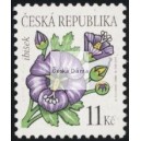 0458 - Krása květů - Ibišek