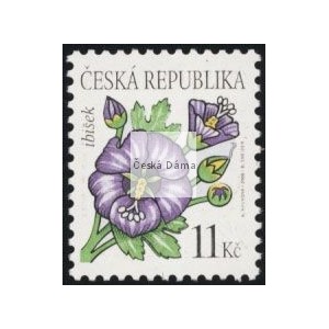 0458 - Krása květů - ibišek