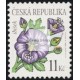 0458 - Krása květů - ibišek