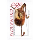 0563 - Trojhlasé dudy