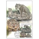 CM116 - ZOO Jihlava: Levhart sněžný s mláďaty