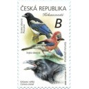 1076 - Straka obecná, krkavec velký a sojka obecná