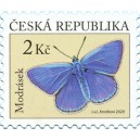 1093 - Modrásek jehlicový﻿