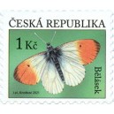 1110 - Bělásek řeřichový