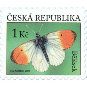 1110 - Bělásek