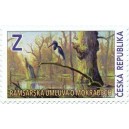 1120 - Čáp černý v mokřadu