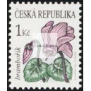 Krása květů - brambořík