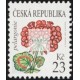 Krása květů - pelargonie