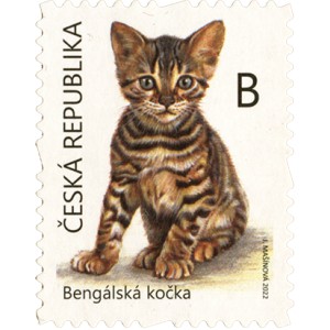 1164-1165 (série) - Mláďata: koťata