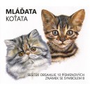 PZS01 - Kočka bengálská a kočka perská