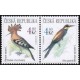 0210-0209 (2blok) - Dudek + vlha