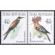 0209-0210 (2blok) - Vlha + dudek