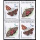 0212-0211 (4blok) - Hnědásek + stužkonoska