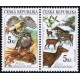 0273-0274 (2blok) - Myslivost v ročních obdobích: Podzim + Zima