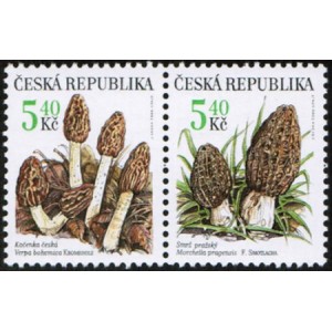 0266-0267 (2blok) - Vzácné houby: Kačenka + Smrž