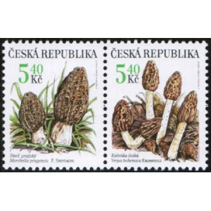 0266-0267 (2blok) - Vzácné houby: Smrž + Kačenka