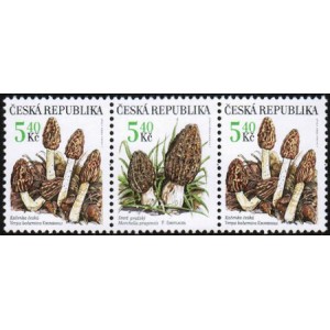 0266-0267 (3blok) - Vzácné houby: Kačenka + Smrž + Kačenka