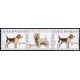 0298-0299 (3blok) - Psi: Beagle + Terier + Beagle