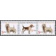 0298-0299 (3blok) - Psi: Terier + Beagle + Terier