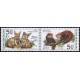 0300-0301 (2blok) - Zvířata v ZOO: Fenek + Panda