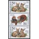 0300-0301 (3blok svisle) - Zvířata v ZOO: Fenek + Panda + Fenek