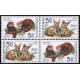 0300-0301 (4blok) - Zvířata v ZOO: Panda + Fenek