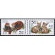 0300-0301 (2blok) - Zvířata v ZOO: Panda + Fenek