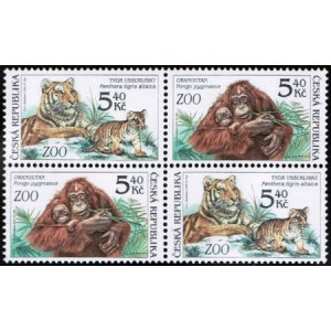 0302-0303 (4blok) - Zvířata v ZOO: Tygr + Orangutan