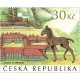 1181 - Starokladrubští koně - hříbě