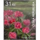 1200 - Pěnišník (rododendron, azalka)
