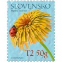 0566 - Smetánka lékařská