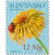 0566 - Léčivé rostliny