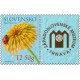 0566 KP - Léčivé rostliny