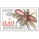 0573 - Nosorožík kapucínek