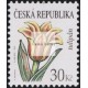 Krása květů - tulipán
