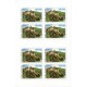 1251 PL - Hrad Loket