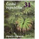 1254 - Dipteris conjugata